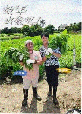 品牌策划案例